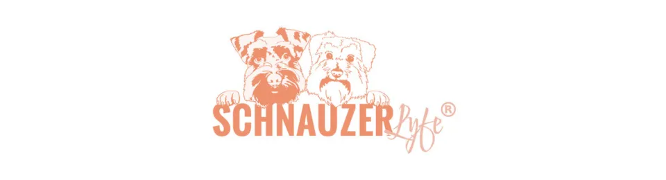 Schnauzer Lyfe