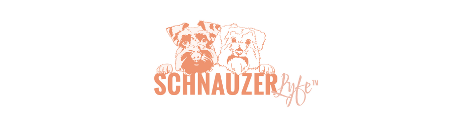 Schnauzer Lyfe